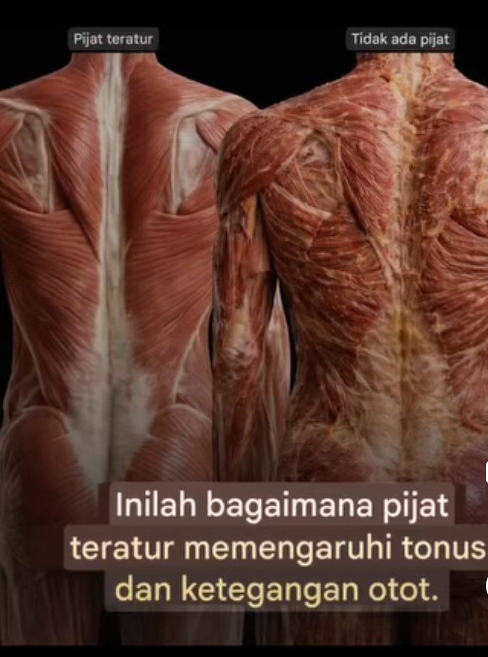 Rutin terapi